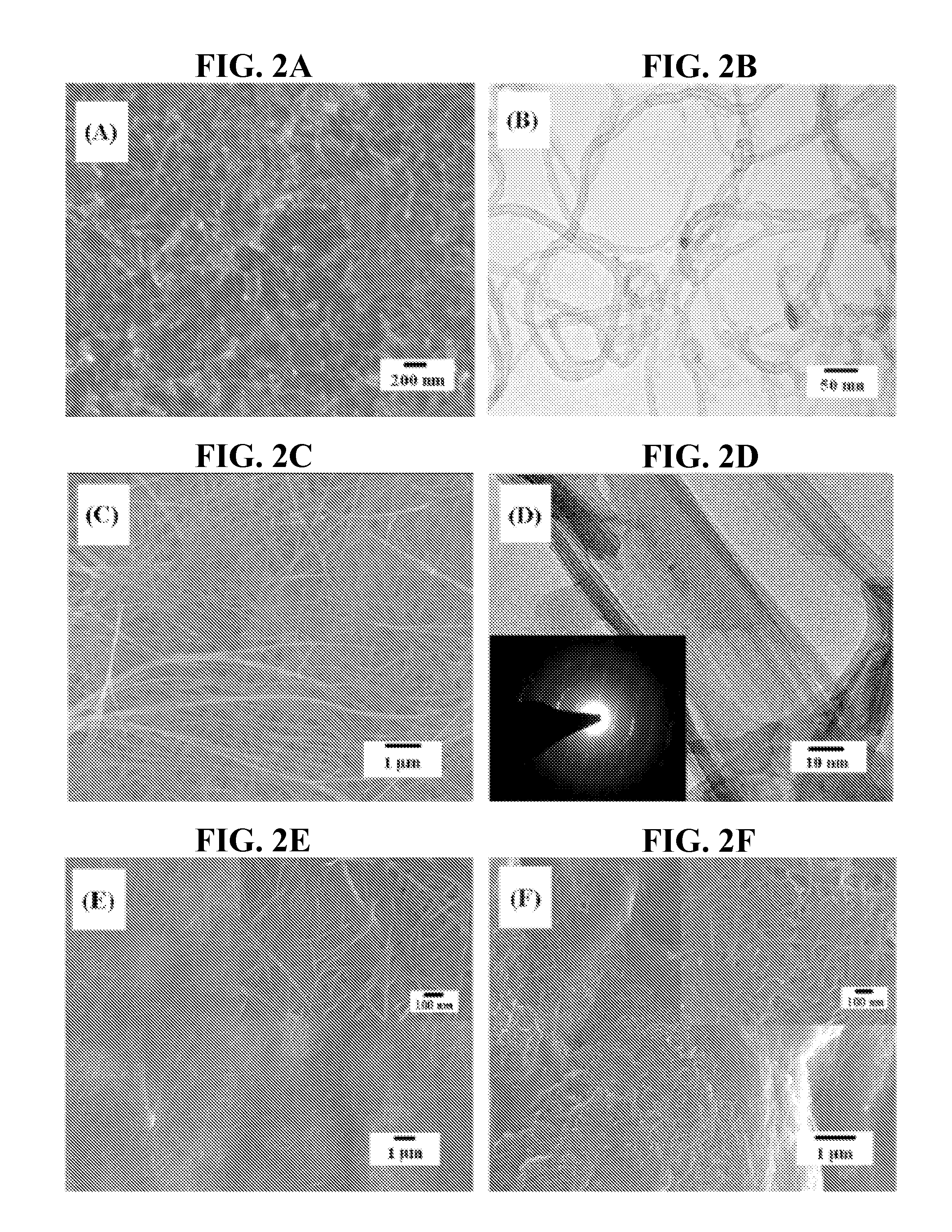 Hierarchical nanowire composites for electrochemical energy storage