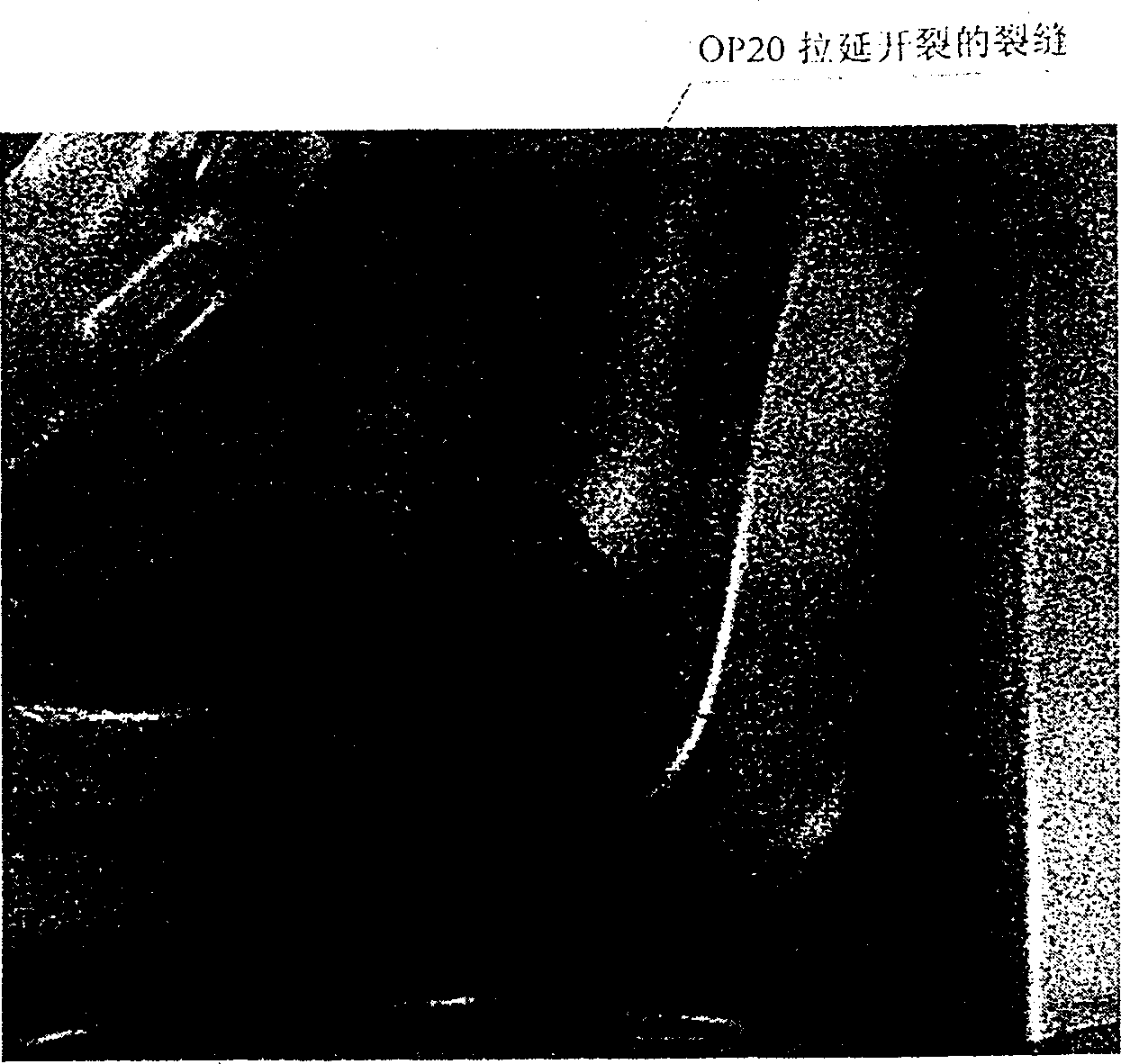 Die regulating method for preventing crack in punched large covering vehicle body part