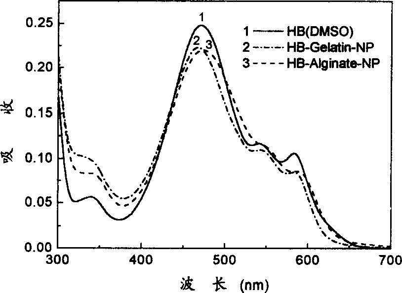 Hypocrellin water-soluble nanogranule and its uses