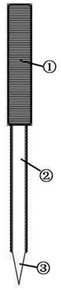 Directional conductive acupuncture needle and preparation method thereof