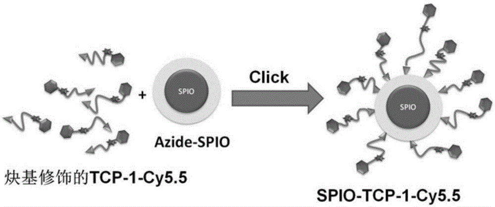 Preparation method of colon cancer nuclear magnetic resonance multifunctional contrast agent