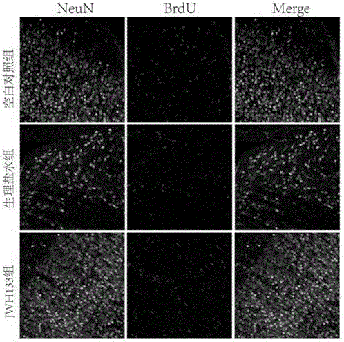 Applications of CB2R (cannabinoid receptor 2) agonist in preparing medicines for treating hypertensive cerebral hemorrhage