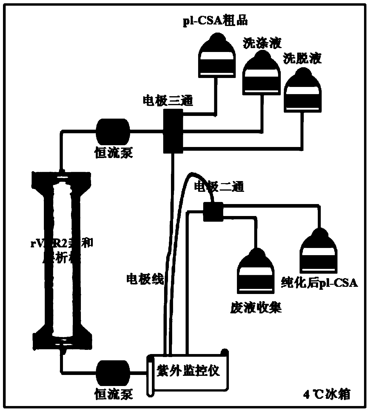 A kind of affinity chromatography purification method of placenta-like chondroitin sulfate a or derivatives thereof