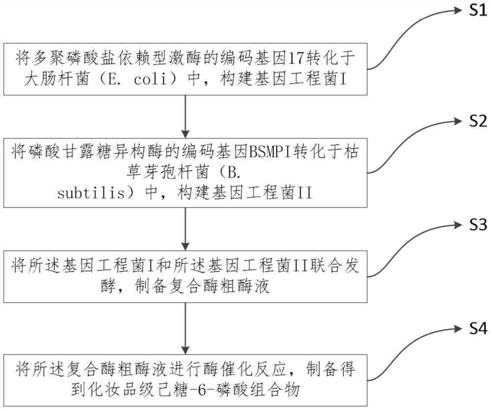 Bio-enzyme synthesis method and application of cosmetic-grade hexose-6-phosphoric acid composition