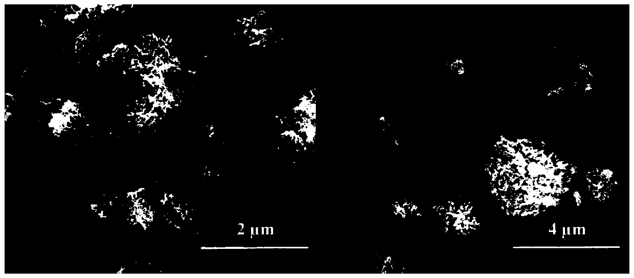 Preparation method and applications of hairy ball type Ti3C2(MXene)nanometer material