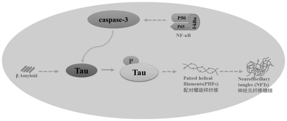 Application of composition in preparation of medicine for treating Alzheimer's disease