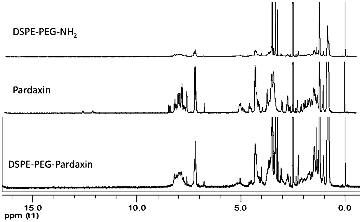 Construction method and application of nano drug loading system targeting cell endoplasmic reticulum