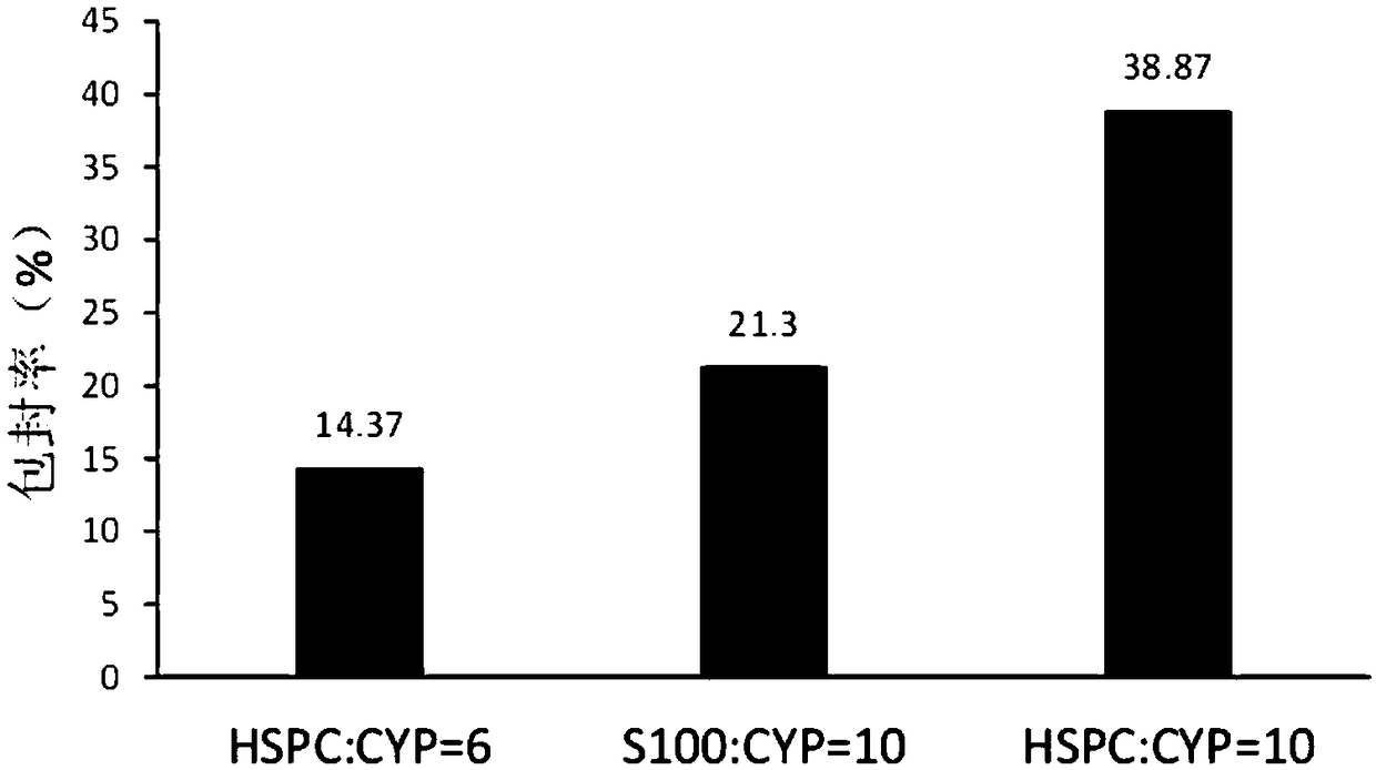 Construction method and application of nano drug loading system targeting cell endoplasmic reticulum