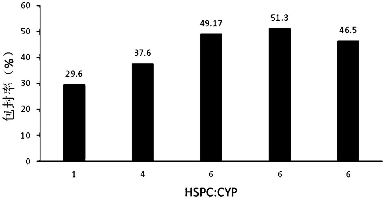 Construction method and application of nano drug loading system targeting cell endoplasmic reticulum