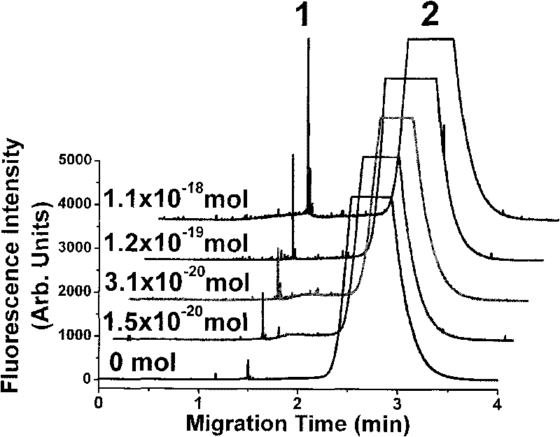 Method for analyzing quantum dot-enhanced high-sensitivity DNA adduct