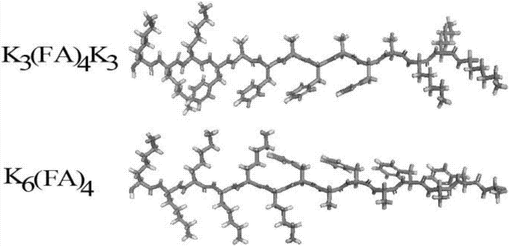 Cationic polypeptide nano-aggregate and antibacterial application thereof