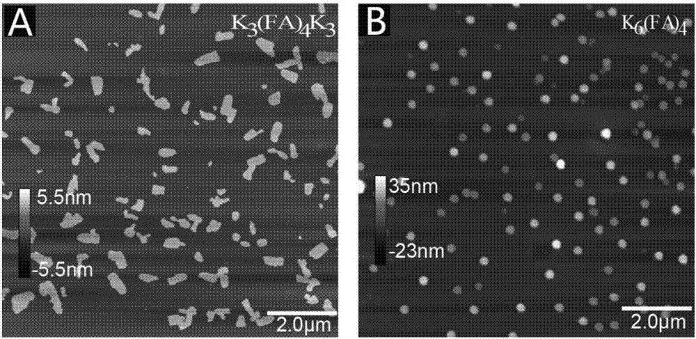 Cationic polypeptide nano-aggregate and antibacterial application thereof