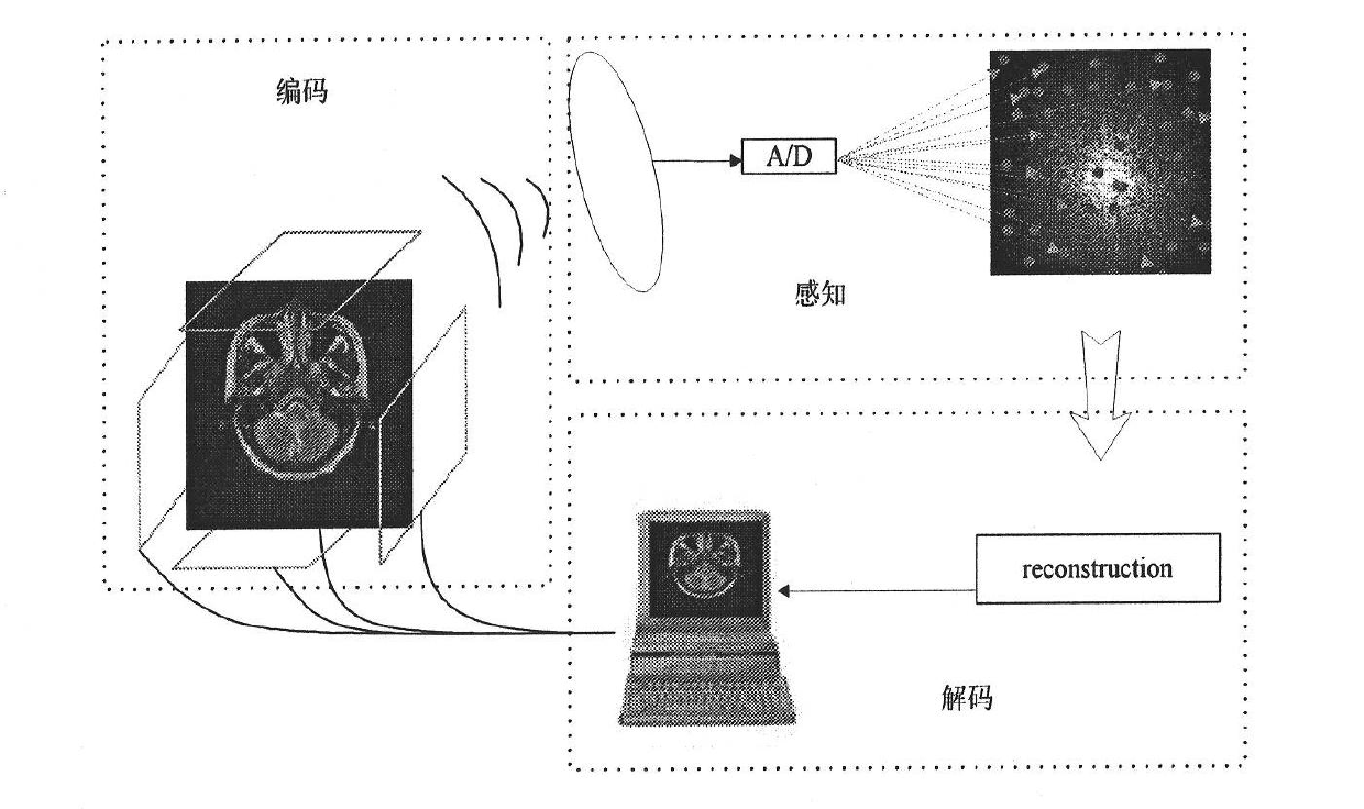 Compressed sensing theory-based reconstruction method of magnetic resonance image