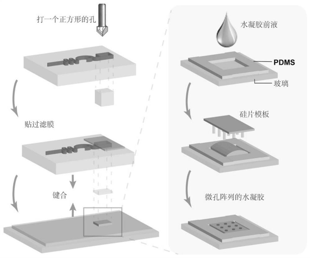 Micro-fluidic chip integrating circulating tumor cell separation and single cell immunoblotting