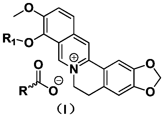 Preparation method and medical application of berberine hydrochloride conjugate