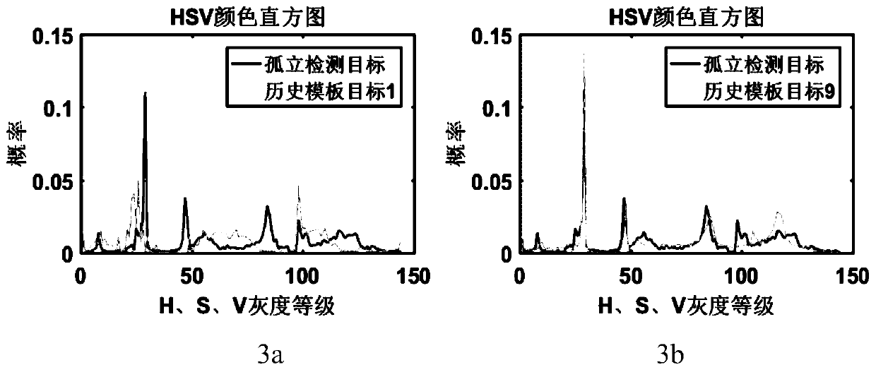 Multi-pedestrian tracking method based on iterative filtering and observation discrimination