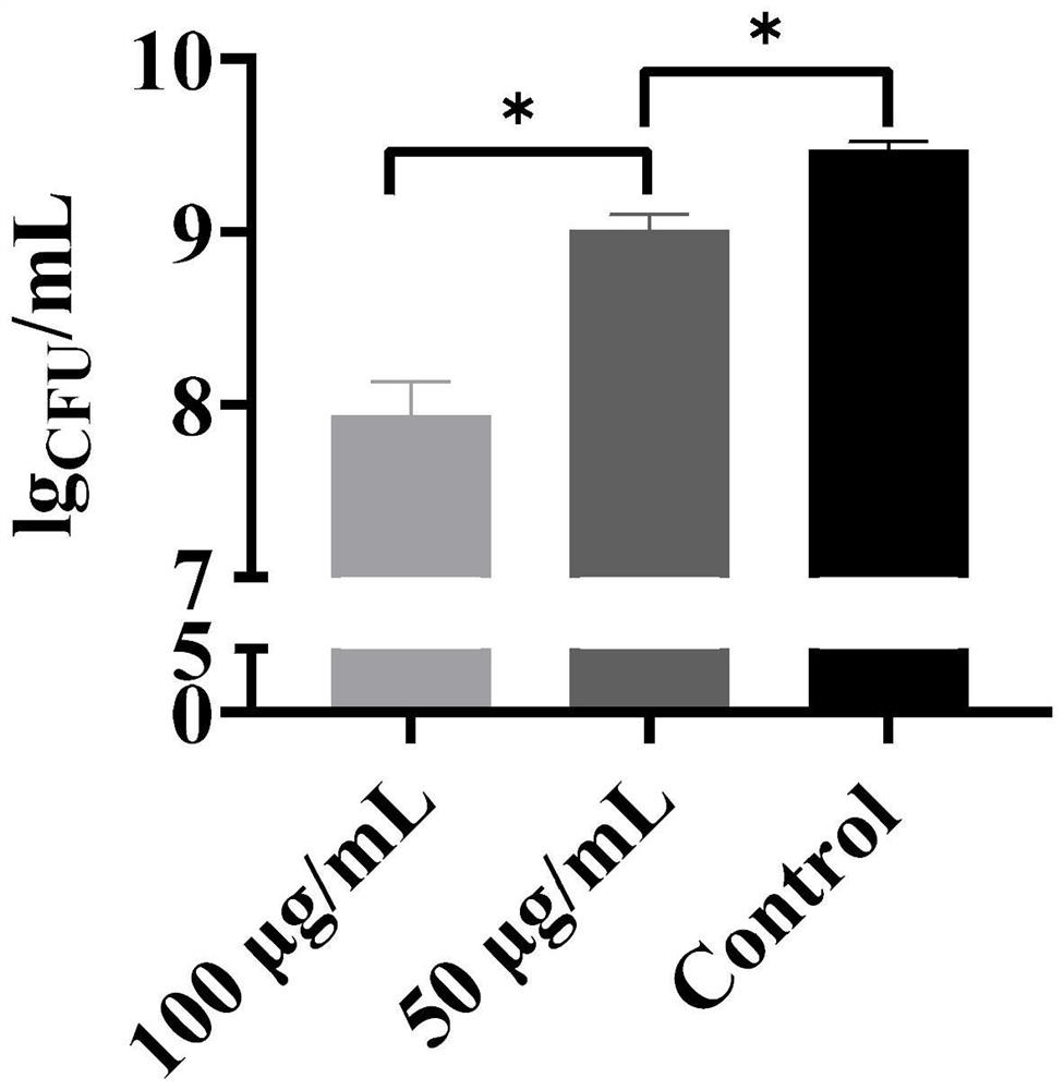 Application of houttuyfonate analogue in preparation of streptococcus mutans growth and biofilm inhibitor