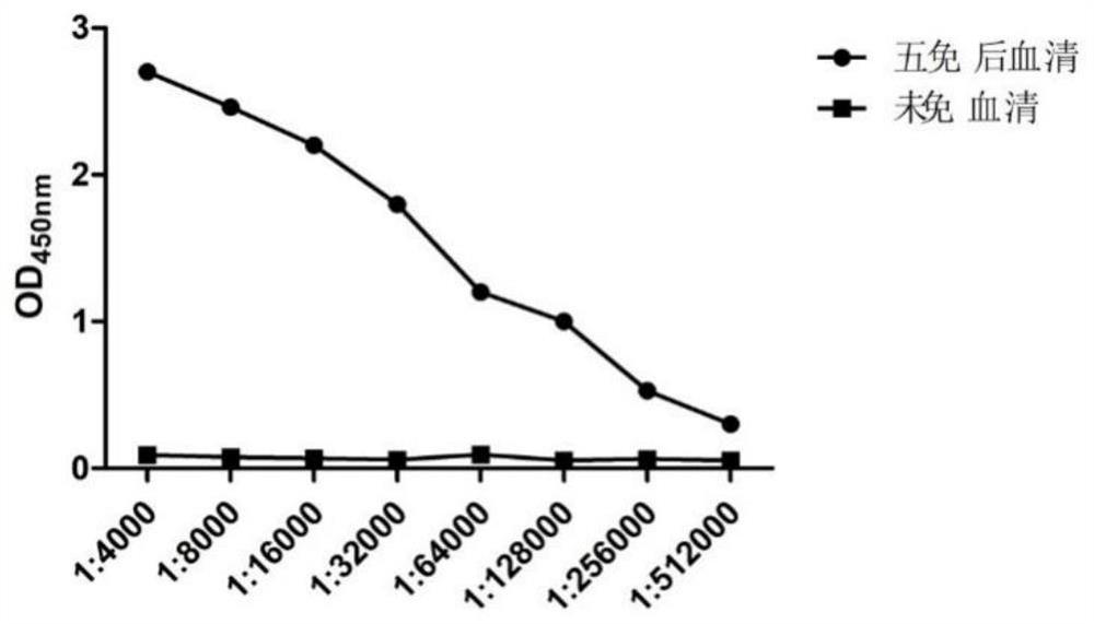 Method for determining titer of a swine transmissible gastroenteritis virus N protein antibody