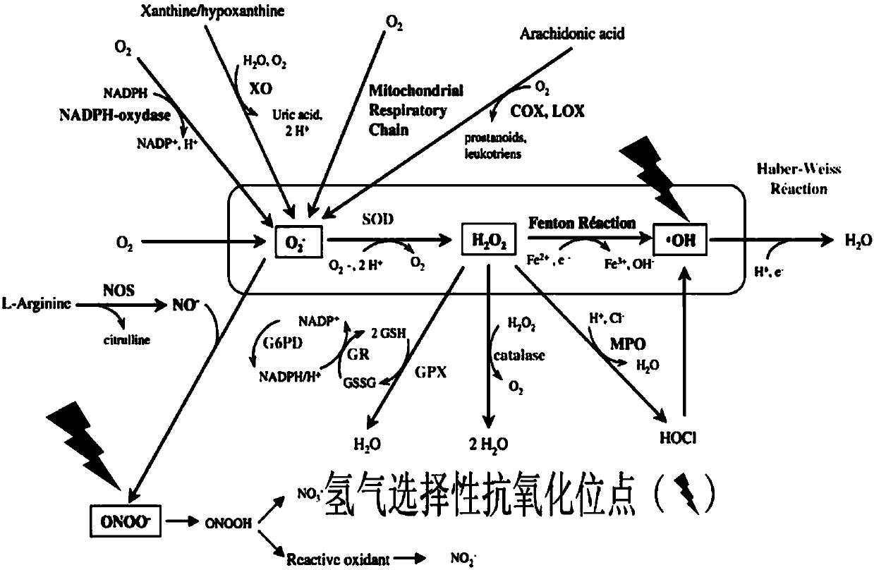 Hydrogen-containing physiological saline, preparation method and uses