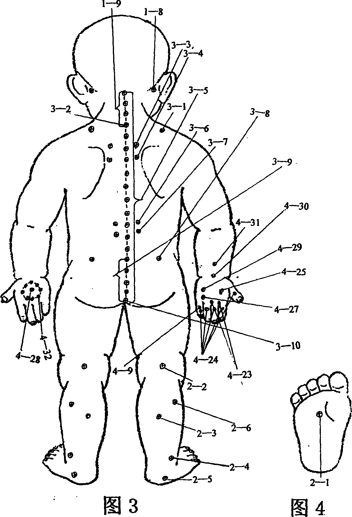 Digital model for child massage acupuncture point