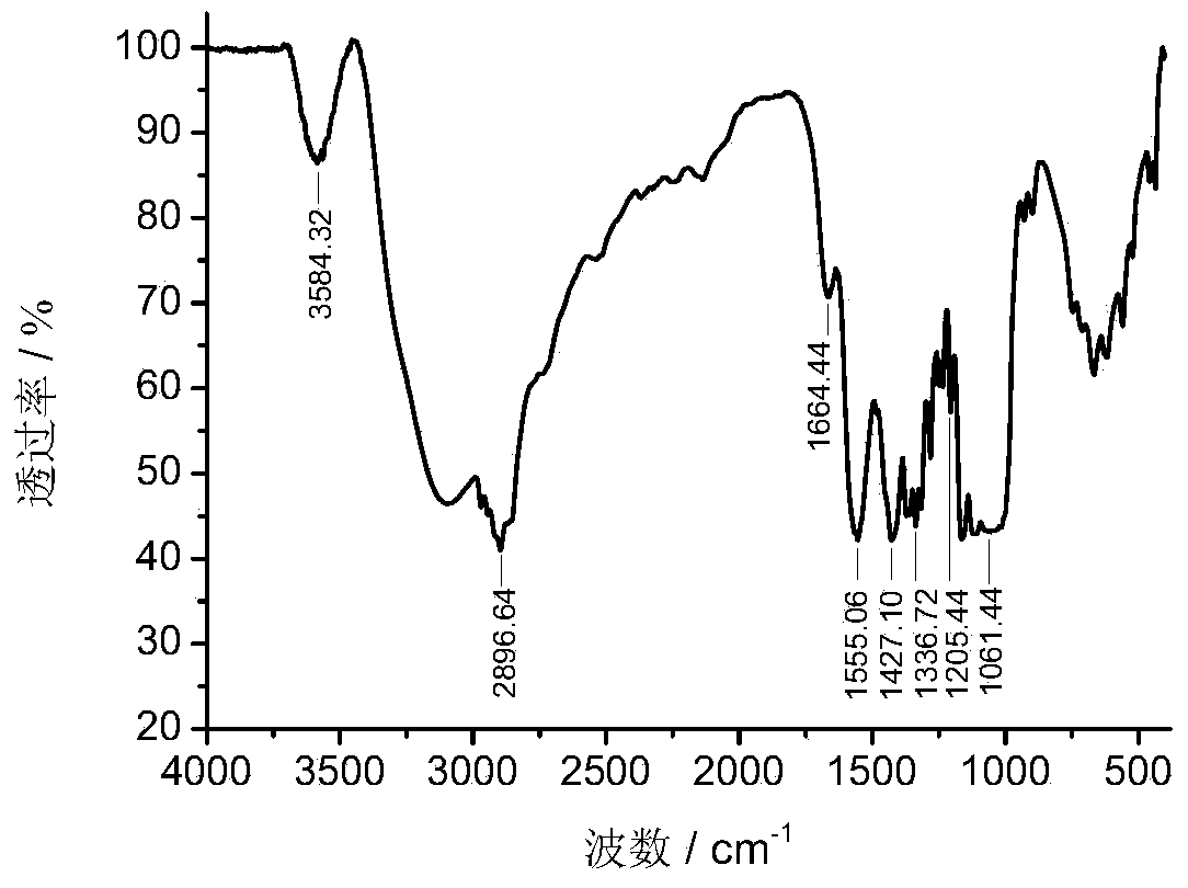 Bacteria cellulose producing strain and method for fermenting bacteria cellulose by utilizing same