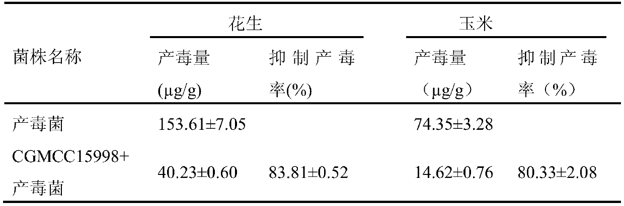 Aspergillus flavus PEASH-12 not producing aflatoxin and application of aspergillus flavus