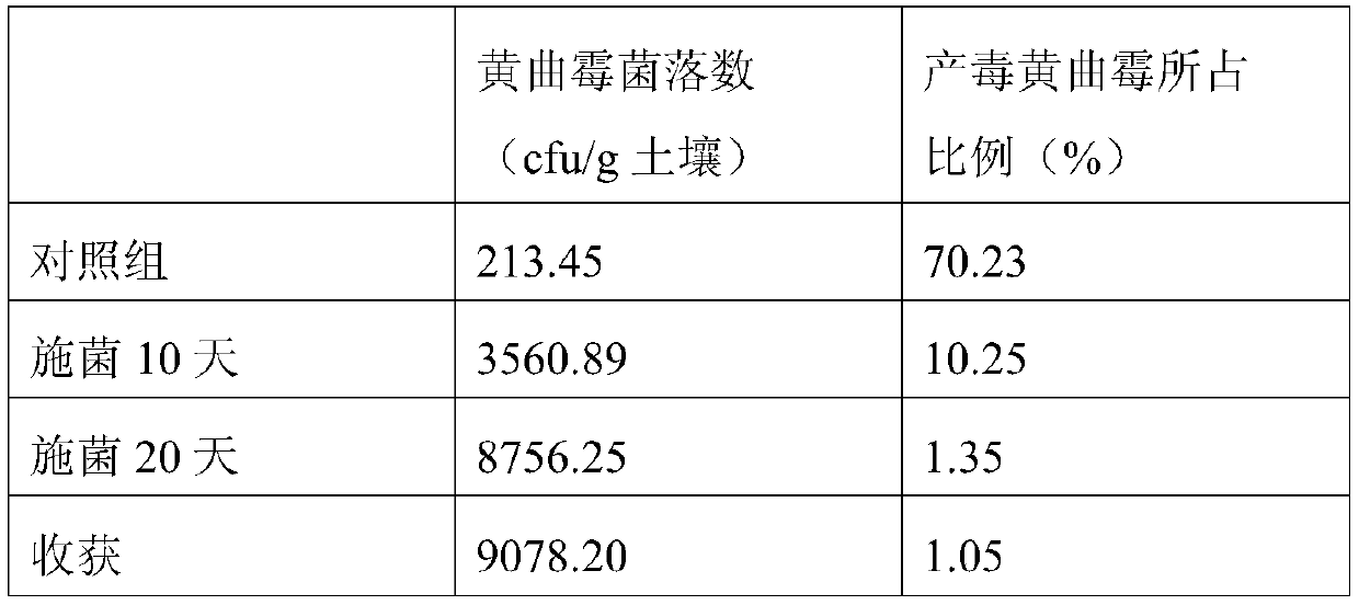 Aspergillus flavus PEASH-12 not producing aflatoxin and application of aspergillus flavus