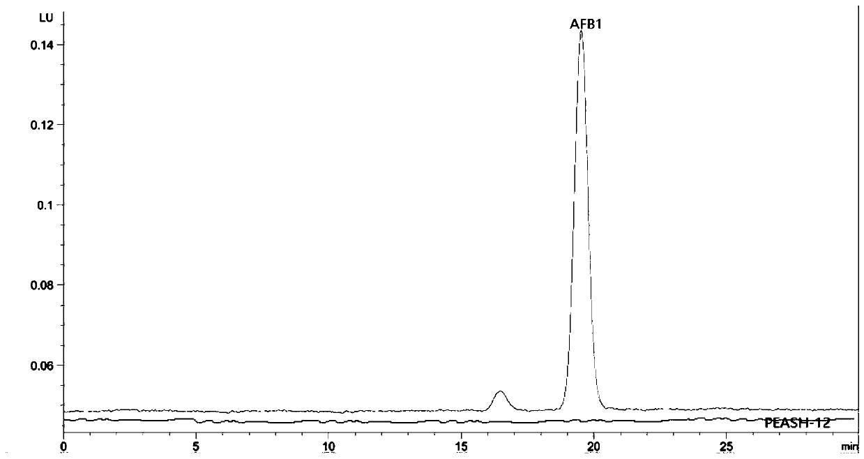 Aspergillus flavus PEASH-12 not producing aflatoxin and application of aspergillus flavus