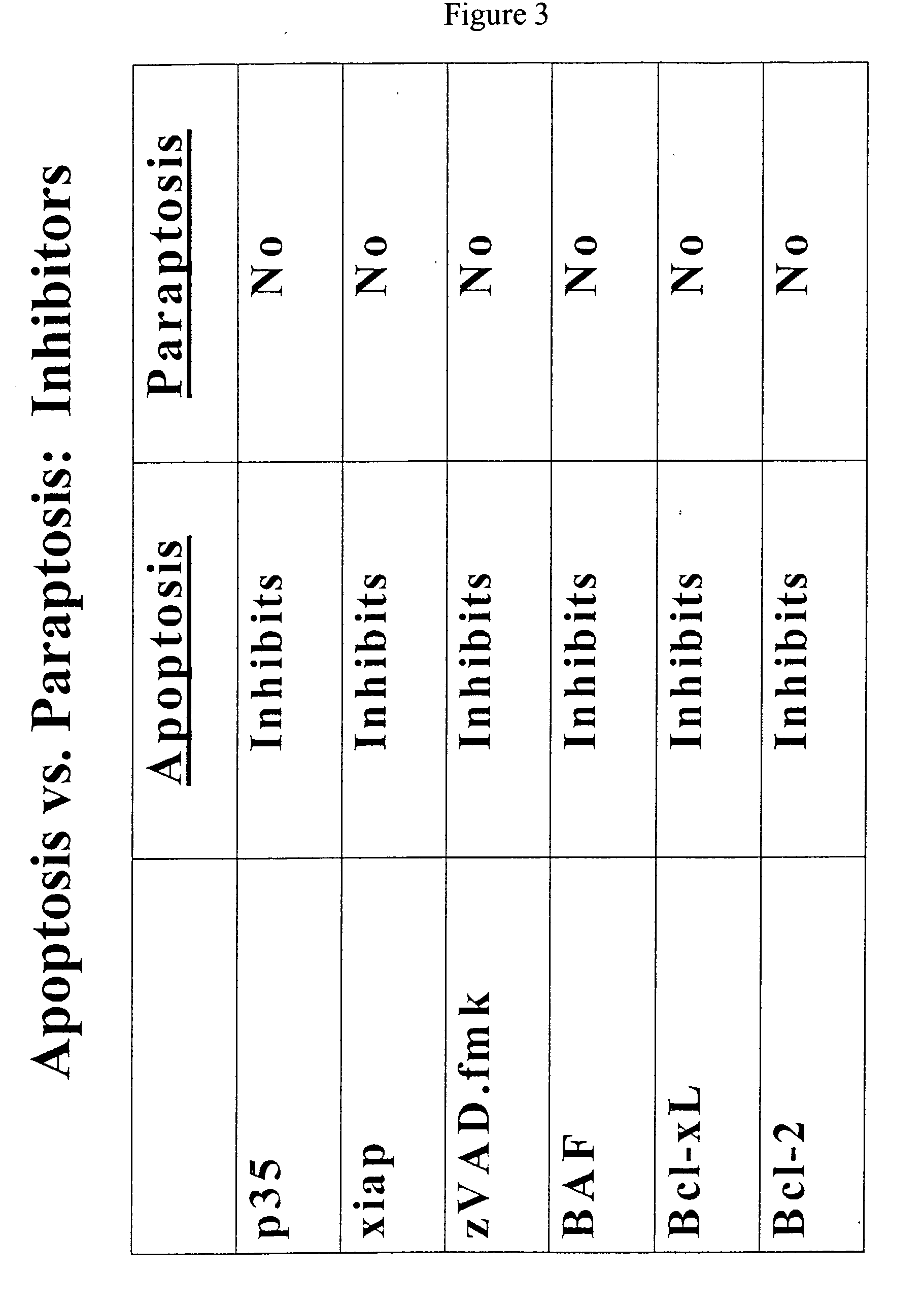 Modulators of paraptosis and related methods