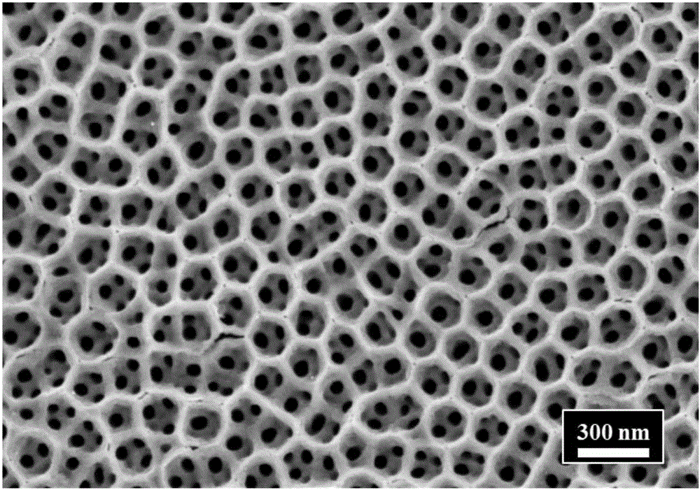 Ti-Au alloy nano-tube photonic crystal electrode with high periodicity and construction method thereof