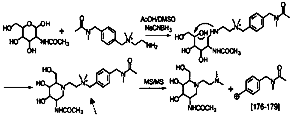 Preparation and application of isotope label reagent for analyzing polysaccharides