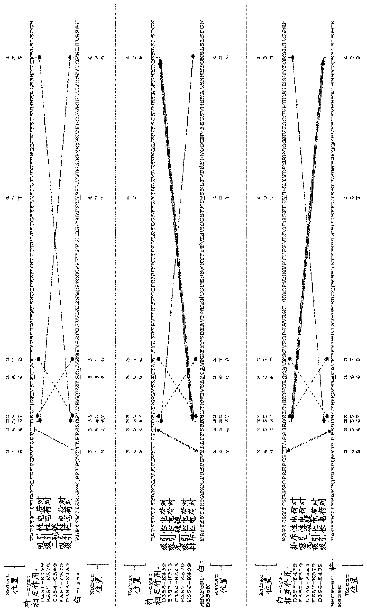 Method for in vivo generation of multispecific antibodies from monospecific antibodies