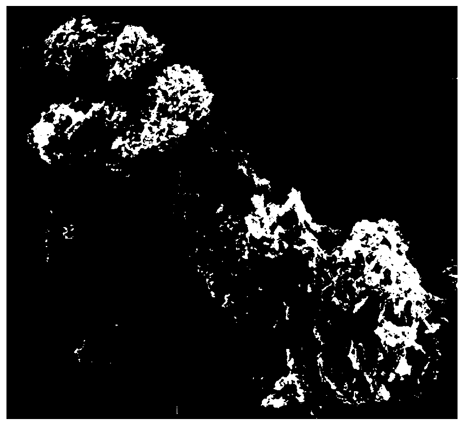 Preparation method and application of double-layer metal organic skeleton immobilized HRP