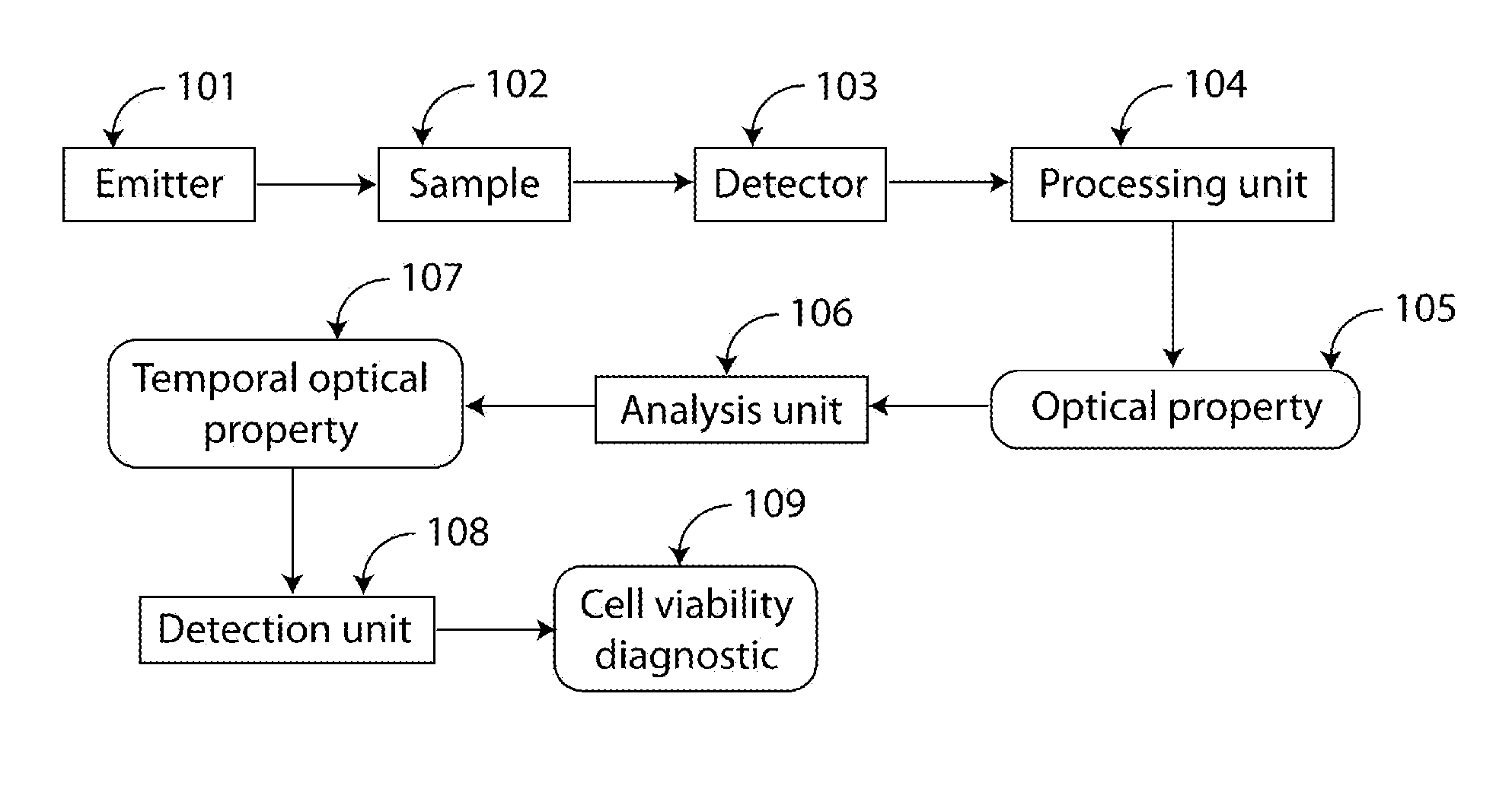 Apparatus and method for early diagnosis of cell death