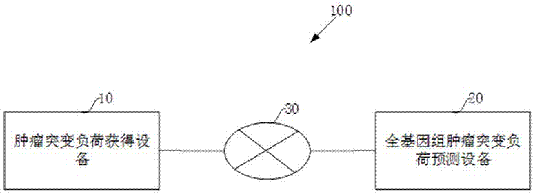 Whole-genome tumor mutation load forecasting method and equipment as well as storage medium