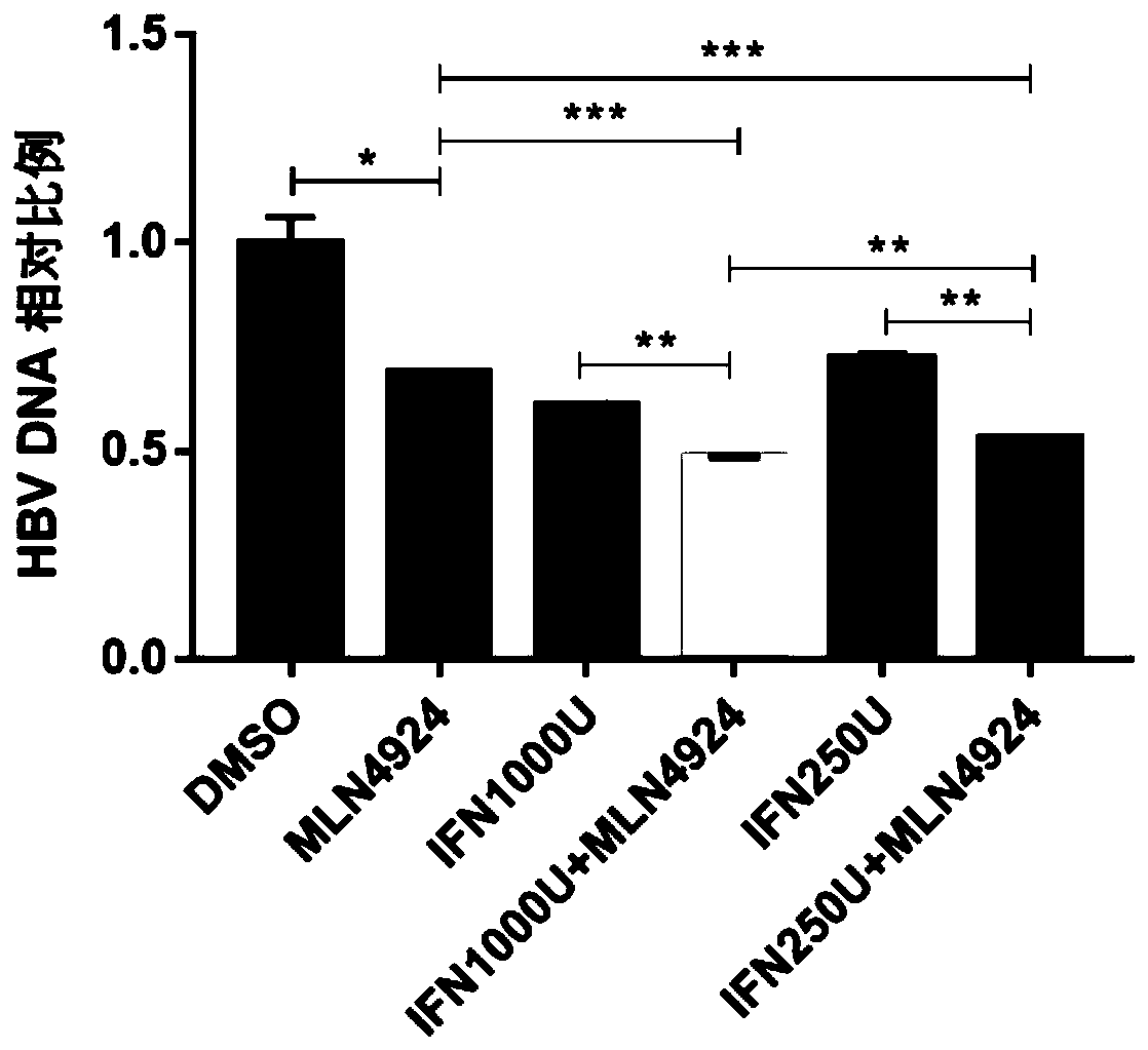 Application of small molecular compound MLN4924 in resisting to HBV by combining with IFN[alpha]