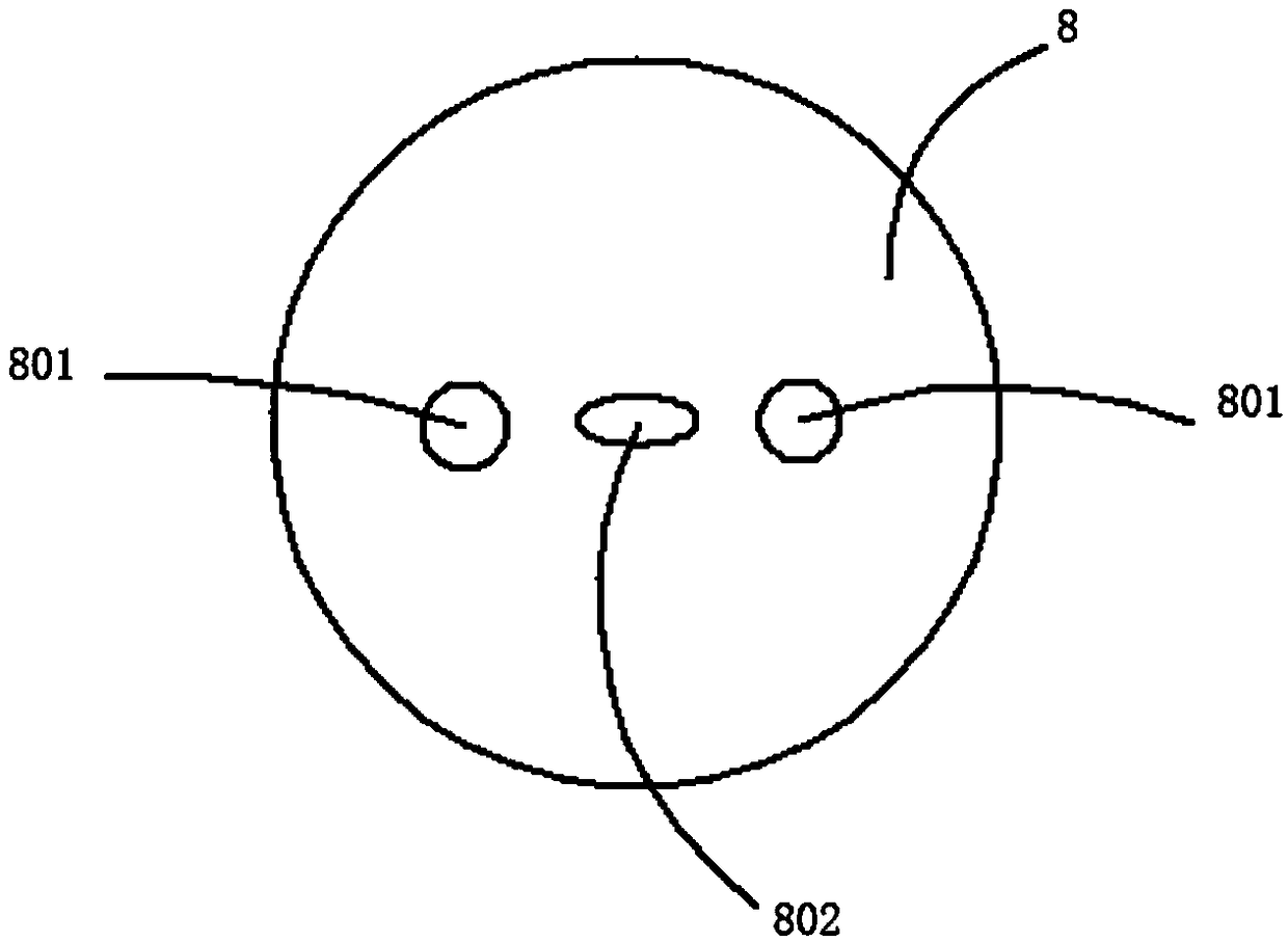 Swine plague detecting method and system