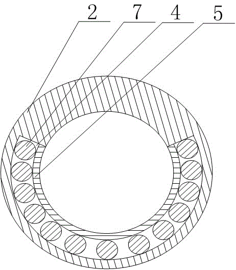 Gas injection device for automobile