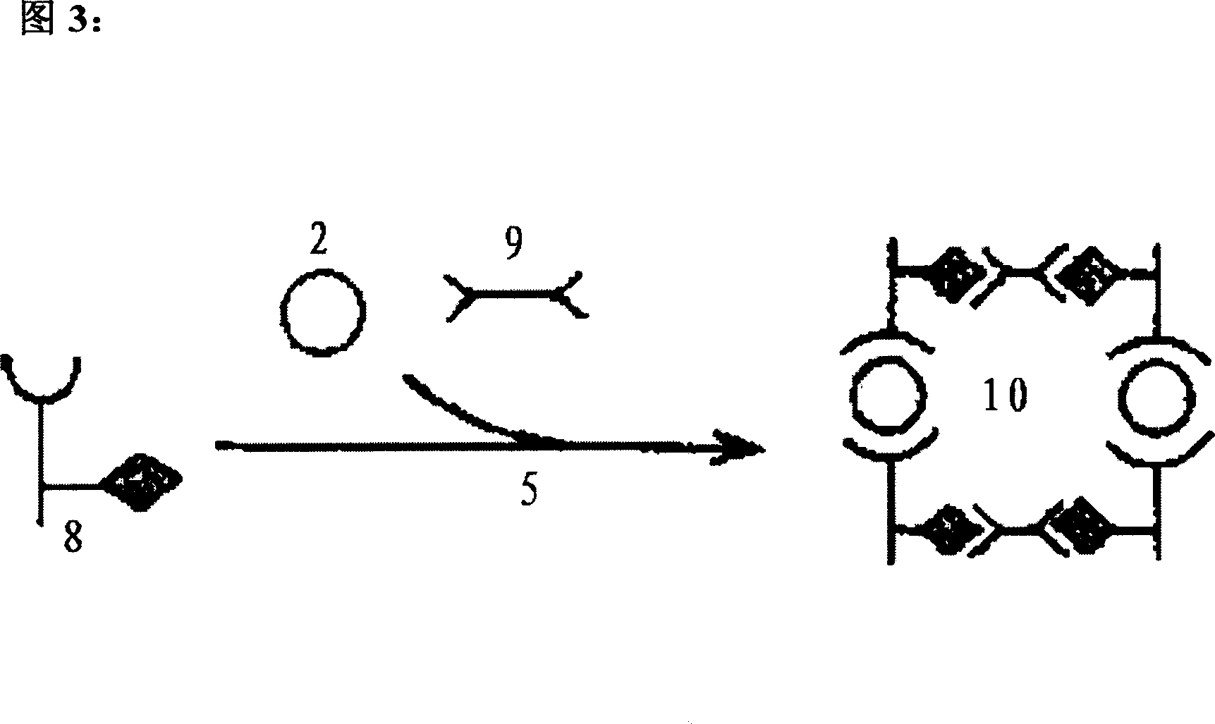 Fast detection method of poultry and animal epiornitic and drug residues self hemagglutination