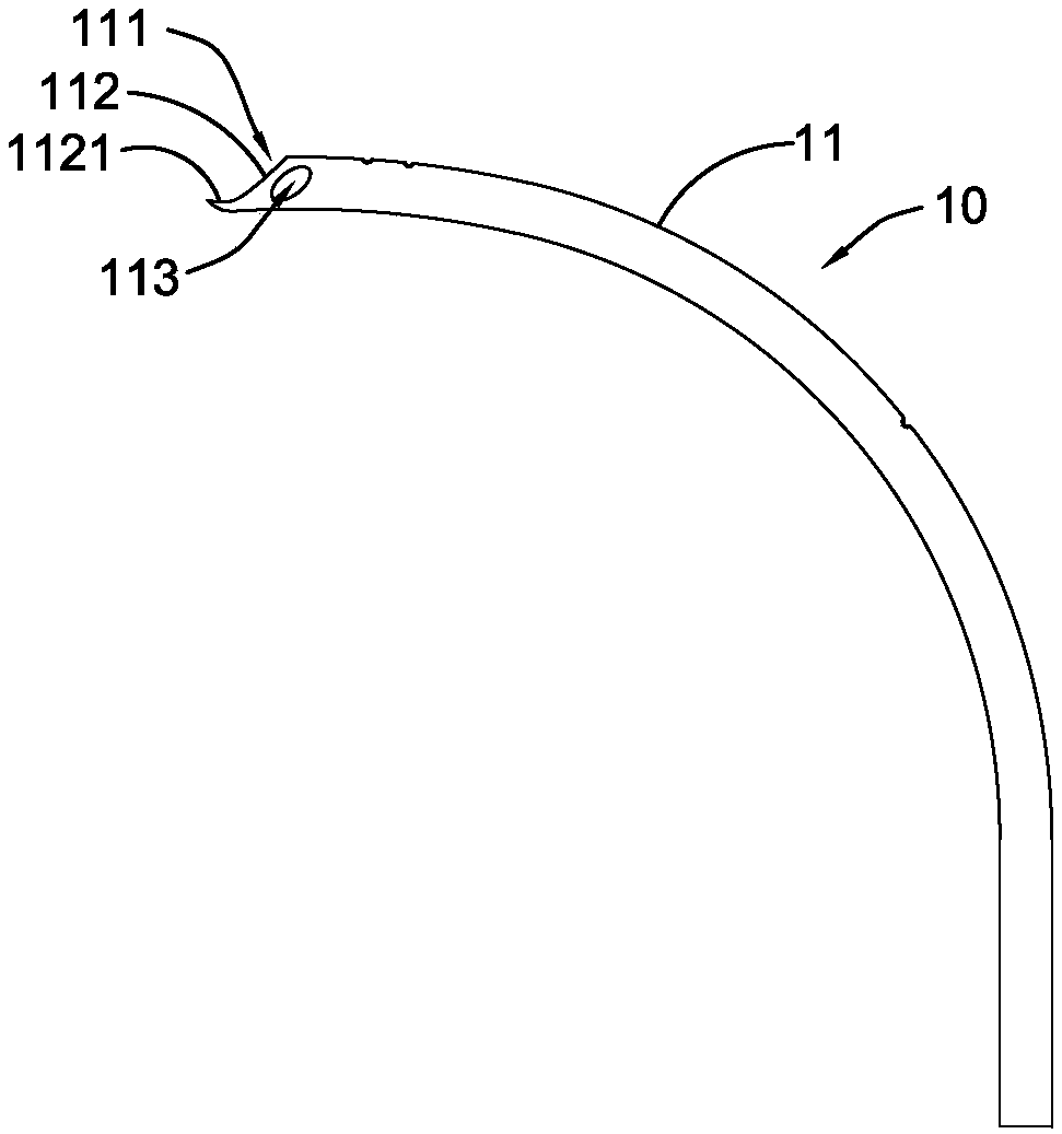 Visible bronchial cannula and application thereof