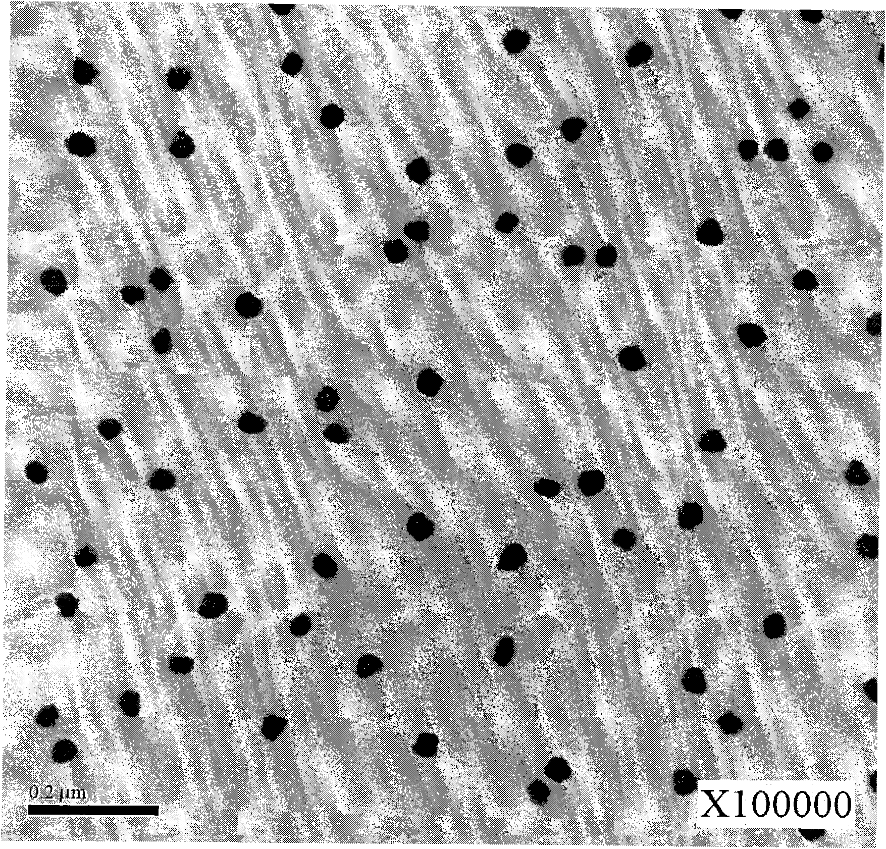 Compound astragalus polysaccharides and echinacea purpurea herb nanoemulsion adjuvant and preparation method thereof