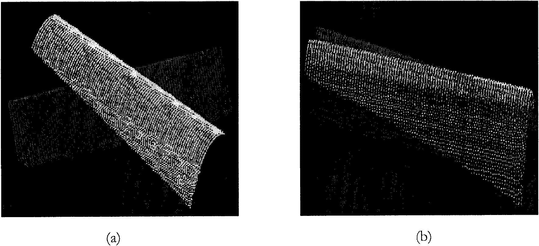 Precise registration method of multilook point cloud