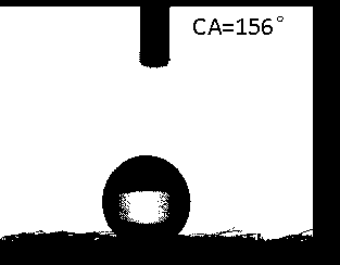 Preparation method of super-hydrophobic natural sponge