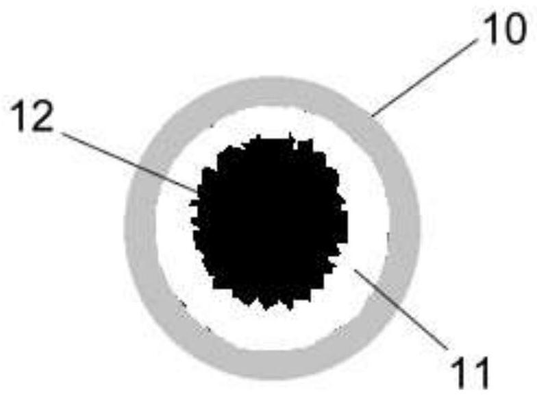 Planting material particle