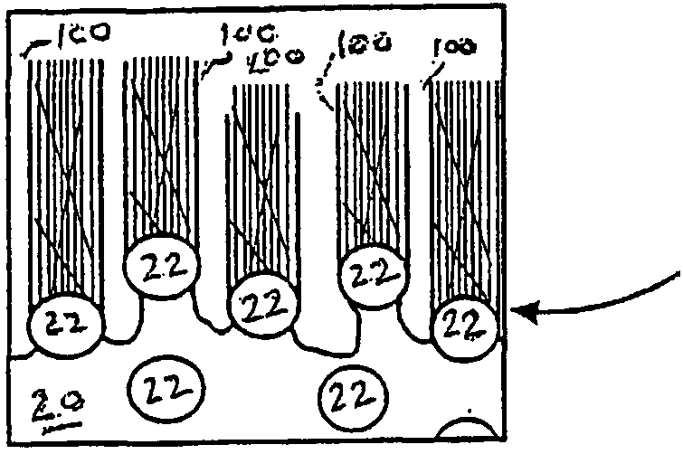 Methods of direct growth of carbon nanotubes on catalytic surfaces