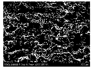 Preparation method of foamy copper/carbon nanophase composite negative electrode material for lithium ion battery