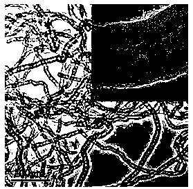 Preparation method of foamy copper/carbon nanophase composite negative electrode material for lithium ion battery