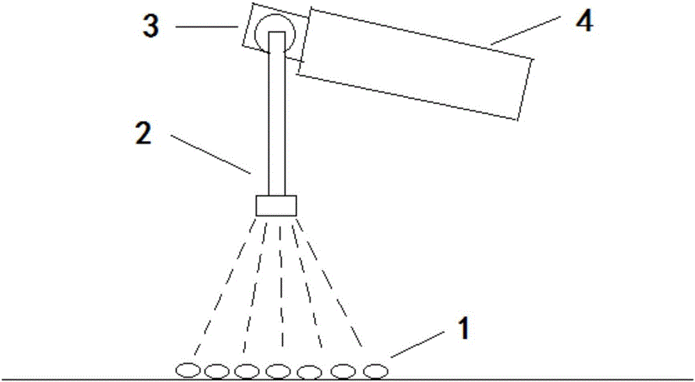 Grain fatty acid value detection reagent, detection method and application of detection reagent