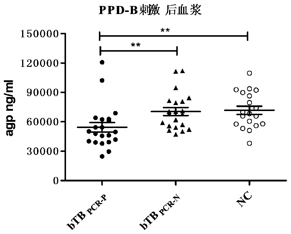 Bovine tuberculosis diagnosis marker and application thereof