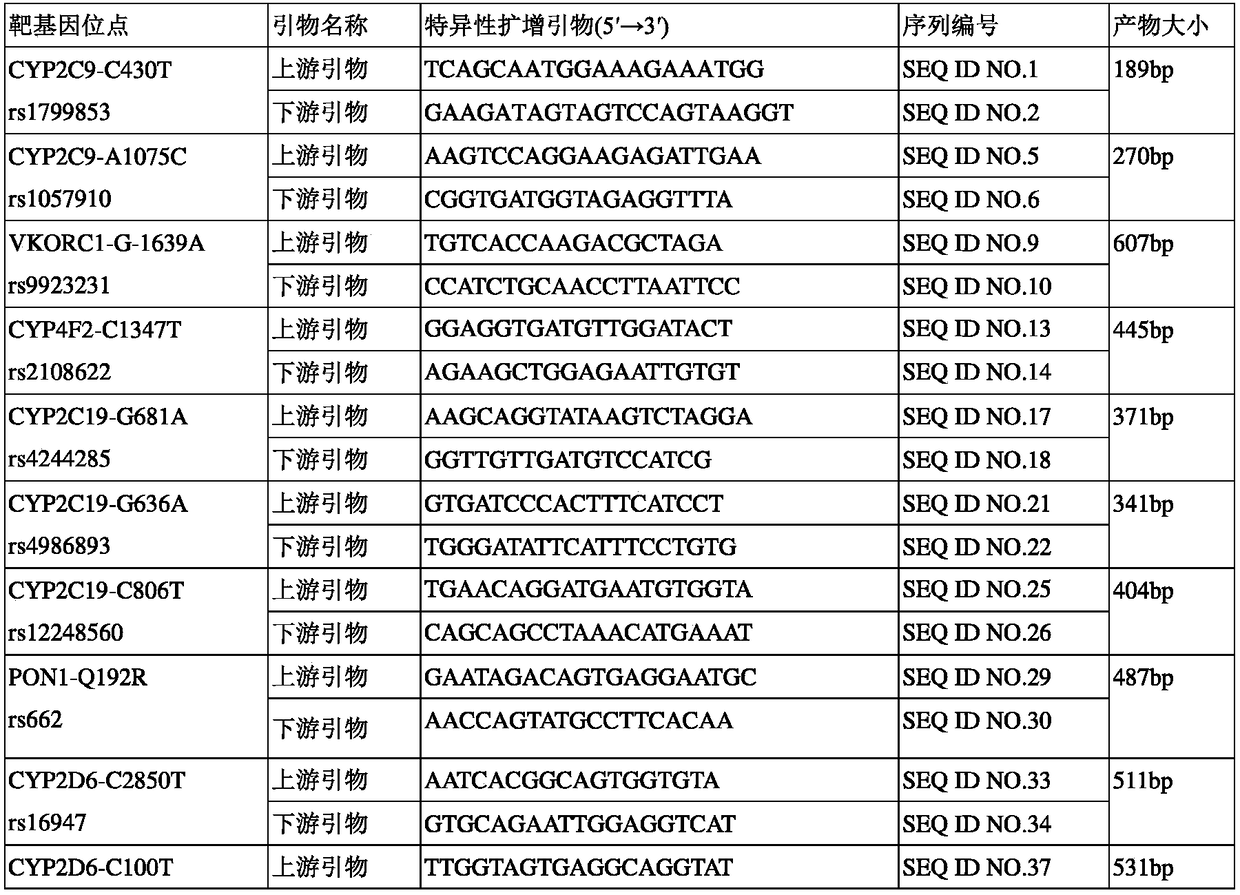 Specific primer and kit for detecting gene polymorphism of cardiovascular disease drugs by virtue of liquid-phase chip technique